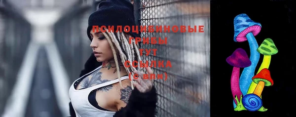 а пвп мука Аркадак
