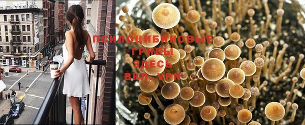 а пвп мука Аркадак