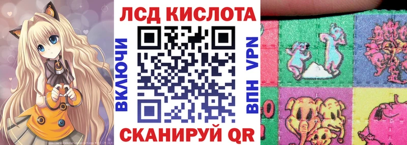 цена наркотик Махачкала Наркотические марки 1,8мг